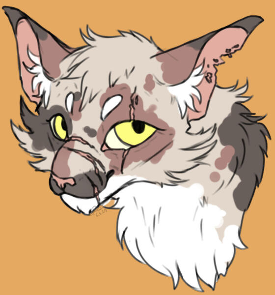 Duskwood Head Sketch (Digital, 2024)