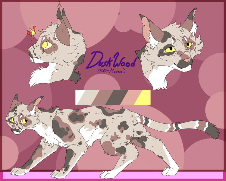 Duskwood Design (Digital, 2025)